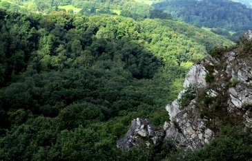 Suisse Normande