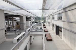 Des passerelles menant aux salles de cours et de réunions